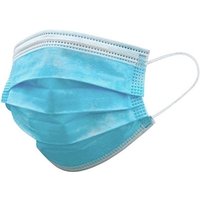 BBN Ansiktsmask typ II - 50 st