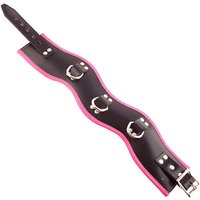 And Padded Posture Collar