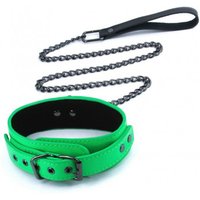 Zielona obroża ze smyczą