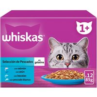 Whiskas - Comida húmeda para gatos +1 año Whiskas Selección Pescados en gelatina.