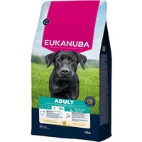 Eukanuba - Pienso para perros adultos grandes Eukanuba pollo fresco 15 kg.