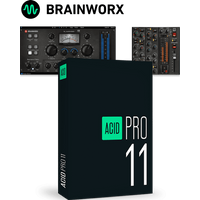 ACID Pro 11