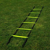 Agility Training Ladder