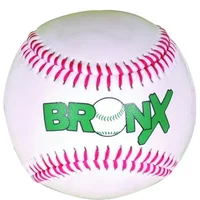 Bronx Safety Baseball