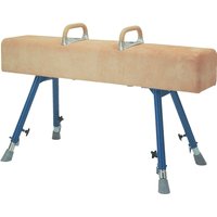 Vaulting Horse with Castors
