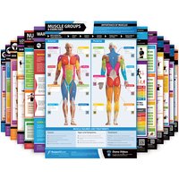 Full Set Exercise Conditioning Posters