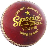 Readers Special School Cricket Ball - Junior