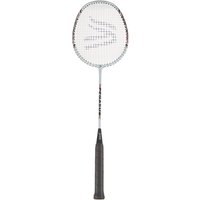 Davies Pegasus Badminton Racket