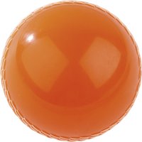 Quick Cricket Ball