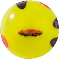 Instruct A Cricket Ball