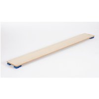 Gym Time Balance Slide Plank