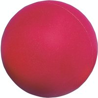 Skinned Foam Ball - 160mm - Red