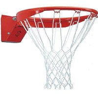 Pro Image Flex Basketball Ring & Net