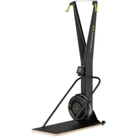 Concept 2 SkiERG