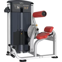 Impulse IT95 Back Extension