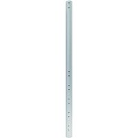 Newstar 250cm Extension Pole for FPMA-C200, C400SILVER, PLASMA-C100 and M1200