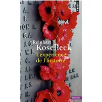 L'expérience de l'histoire