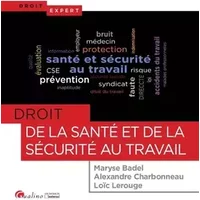 DROIT DE LA SANTE ET DE LA SECURITE AU TRAVAIL