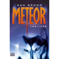 Meteor: Thriller (Bastei Lübbe Stars)