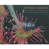 Stratégies végétales, petits arrangements et grandes manoeuvres