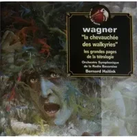 L'Anneau Du Nibelung (Extraits) - Richard Wagner, Symphonie-Orchester Des Bayerischen Rundfunks, Bernard Haitink