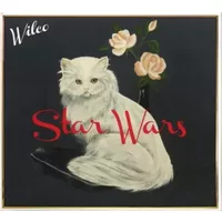 Star Wars - Wilco
