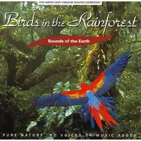 Birds In The Rainforest - No Artist