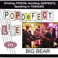 Drinking Poison, Handling Serpents, Speaking In Tongues: POPDeFECT Live In Big Bear - Popdefect