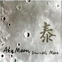 Invisible Moon - Aka Moon