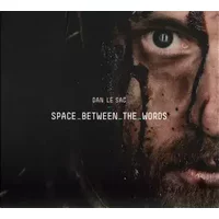 Space Between The Words - Dan Le Sac