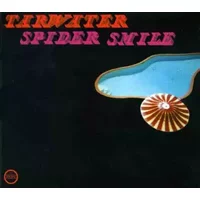 Spider Smile - Tarwater