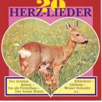 20 Herz-Lieder - Various