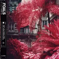 Everything Not Saved Will Be Lost-Part 1 - Foals