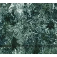 Voices From The Lake - Voices From The Lake, Donato Dozzy, Neel (2)