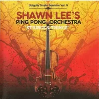 Strings & Things - Shawn Lee's Ping Pong Orchestra