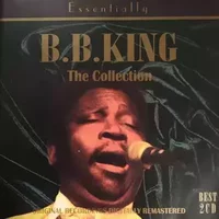 The Collection - B.B. King