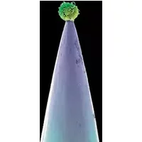 New Blood - Peter Gabriel