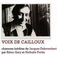 Voix De Cailloux - Rémo Gary