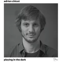 Playing In The Dark - Adrien Chicot