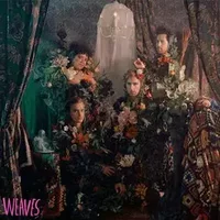 Weaves - Weaves