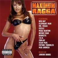 Maximum Ragga - Various