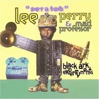 Black Ark Experryments - Mad Professor, Lee Perry