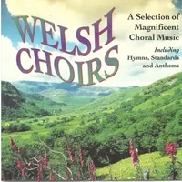 Welsh Choirs - Various