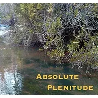 Absolute Plenitude-CD - Collectif