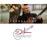 Feuerlicht - Diknu Trio Schneeberger