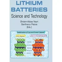 Lithium Batteries: Science and Technology