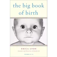 The Big Book of Birth - Erica Lyon, Donald Matheson
