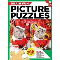 Brain Fun Picture Puzzles: Christmas - Michele Filon