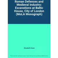Roman Defences and Medieval Industry: Excavations at Baltic House, City of London (MoLA Monograph) - Elizabeth Howe