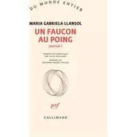Journal, I : Un faucon au poing - Maria Gabriela Llansol, Eduardo Prado Coelho, Alice Raillard